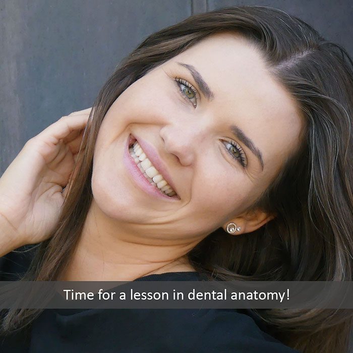 dental anatomy 2022 700 Scripps Poway Orthodontics